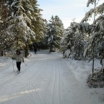 Temiskaming Nordic - Green Trail