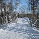 Temiskaming Nordic - Ski Northern Ontario - Red Trail
