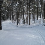Temiskaming Nordic - Green Trail